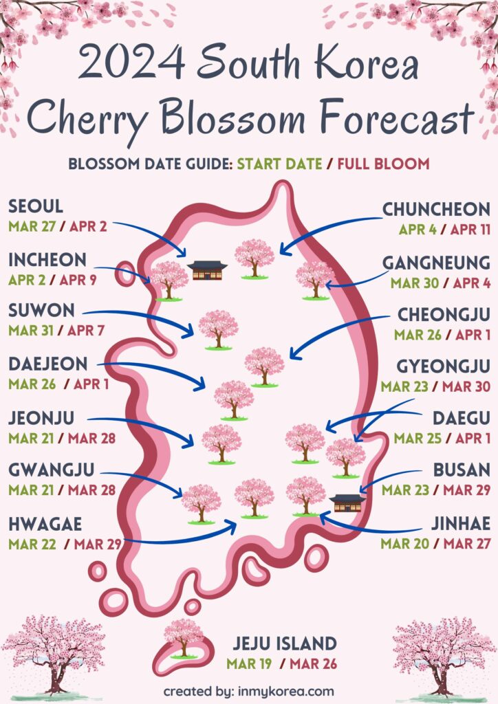 Official South Korea Cherry Blossom Forecast 2024