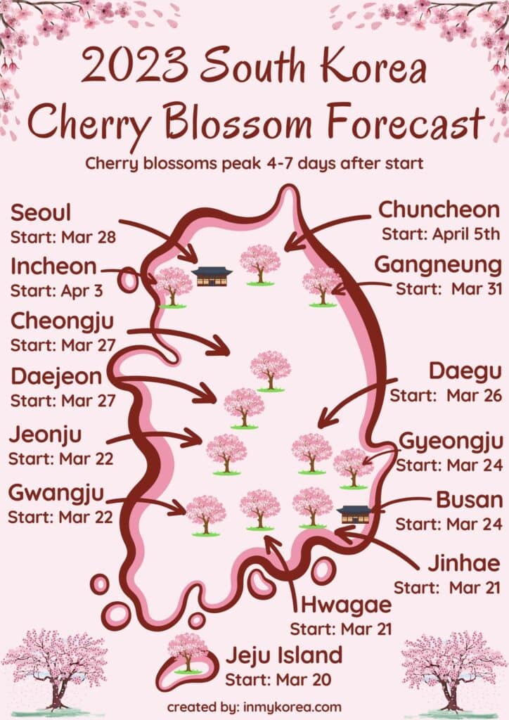 South Korea Cherry Blossom Forecast 2023 724x1024 