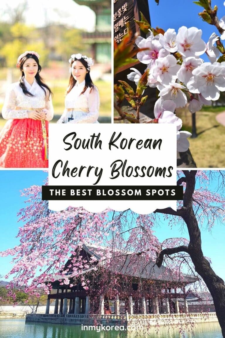 Where To See Cherry Blossoms In Korea 2024: Seoul And Beyond