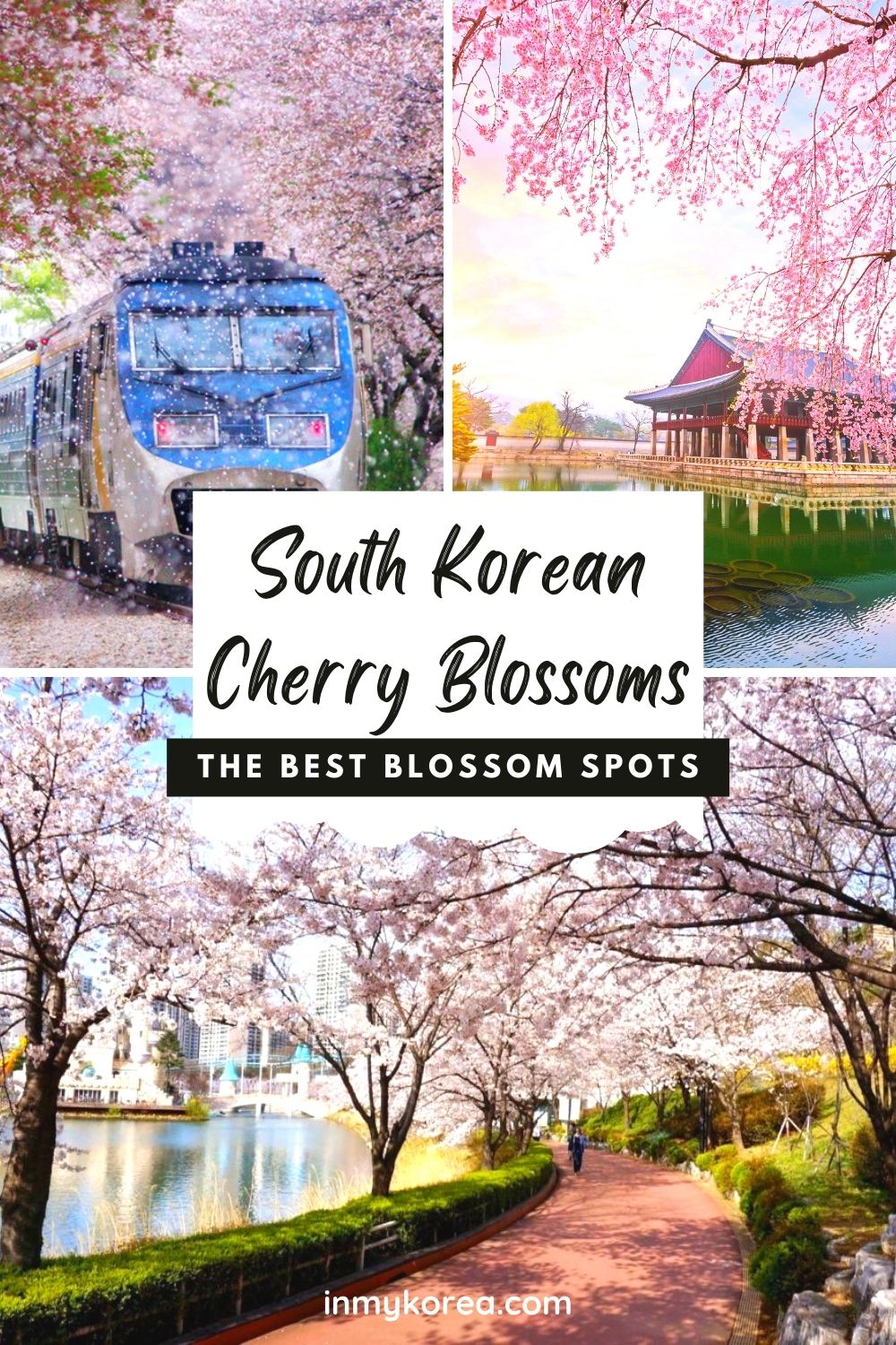 Where To See Cherry Blossoms In Korea 2024: Seoul And Beyond