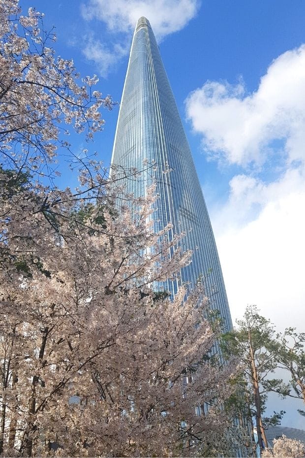Where To See Cherry Blossoms In Seoul, Lotte World Tower