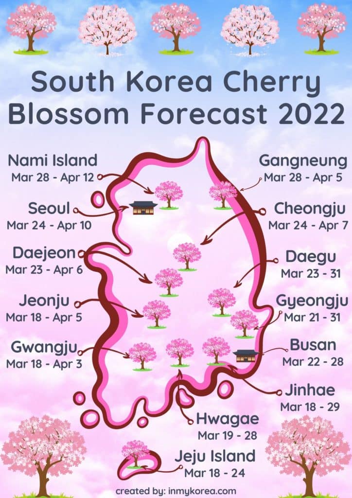 South Korean Cherry Blossom Forecast 2022