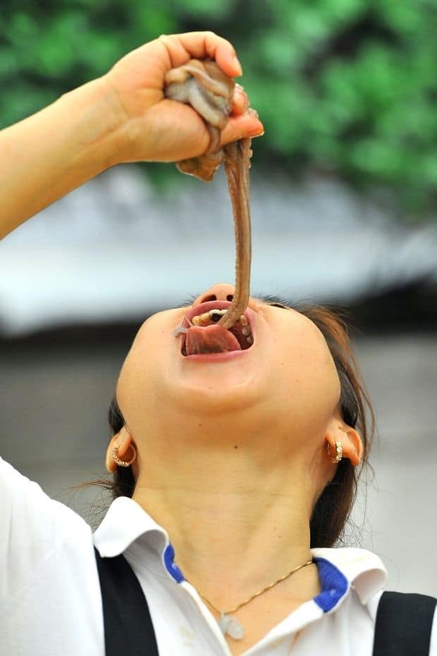 Weird Korean foods such as live octopus