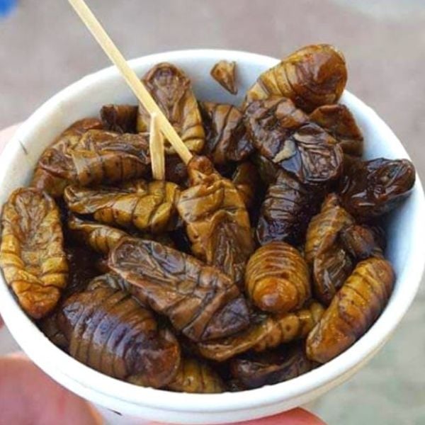A cup of beondegi Korean street food