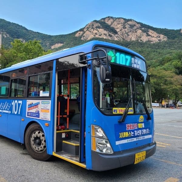 Korean blue bus