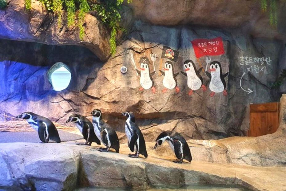 Discover Seoul Pass Itineraries That Save You Money 2025 13 Zoolung Zoolung Indoor Zoo