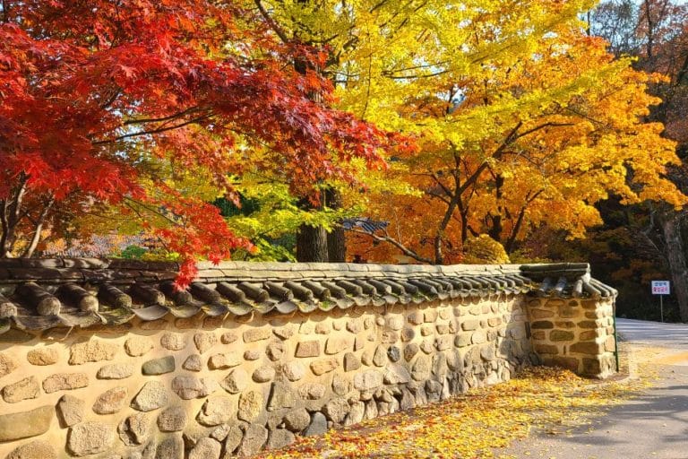 Korea In October 2024 Best Festivals, Events, And Sights