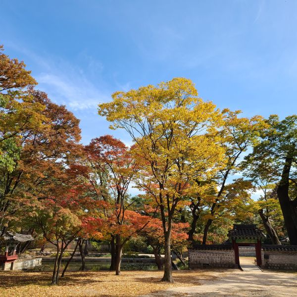 Blue skies in October in Korea