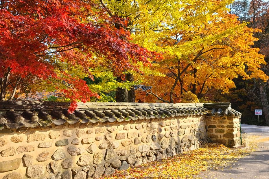 Buddhist temple with autumn foliage in Korea in October