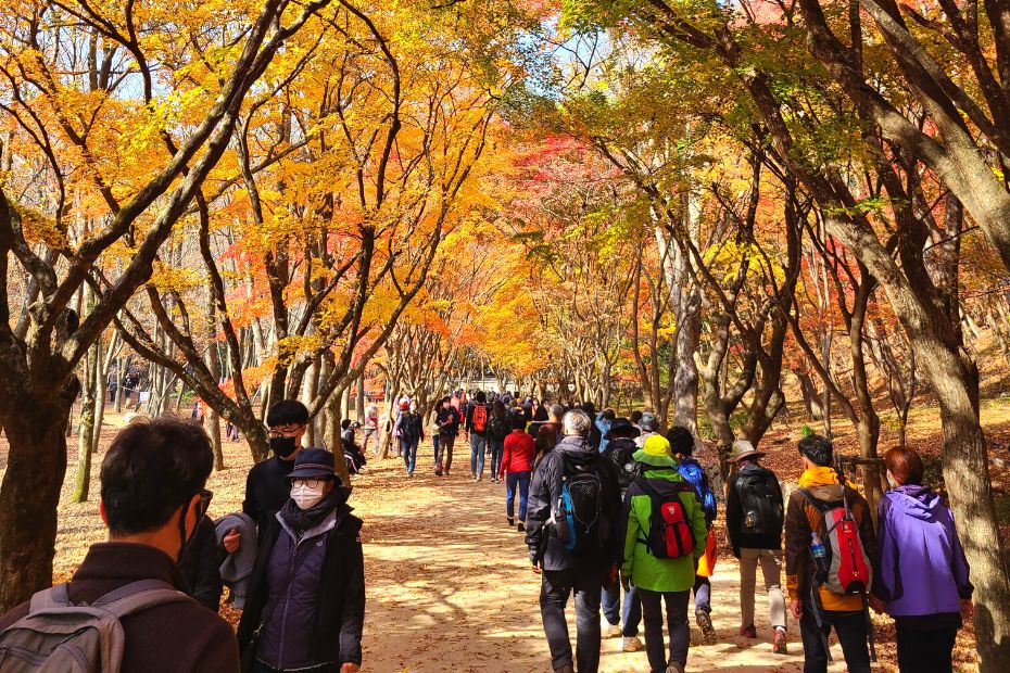 Hiking through Autumn foliage in Korea in October