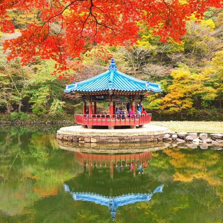 Visiting Korea In October 2023: Foliage, Festivals & Fun