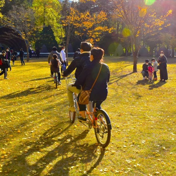 People riding a bike on Nami Island Korea