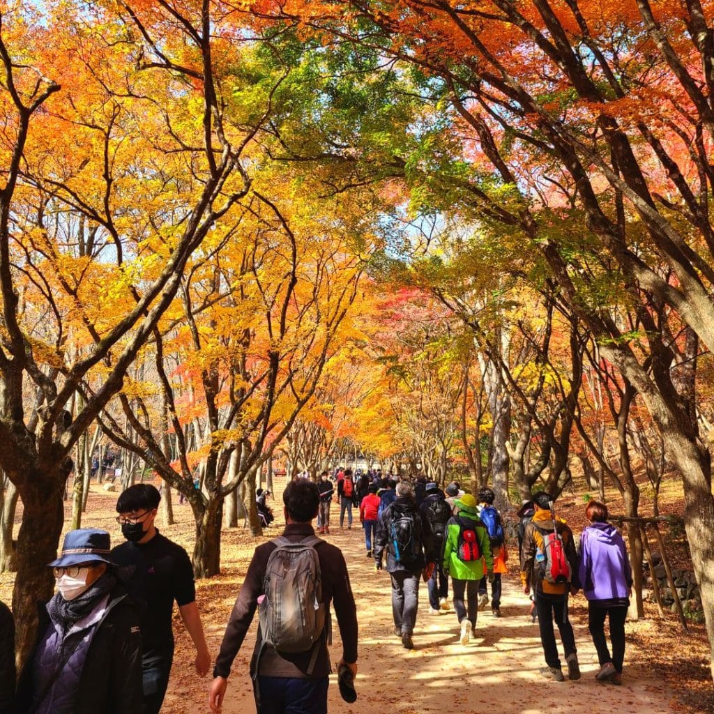 Trekking during October in Korea