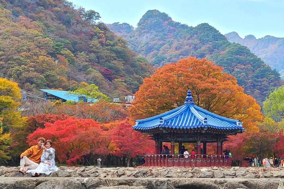 Visiting Korea In October Foliage, Festivals & Fun
