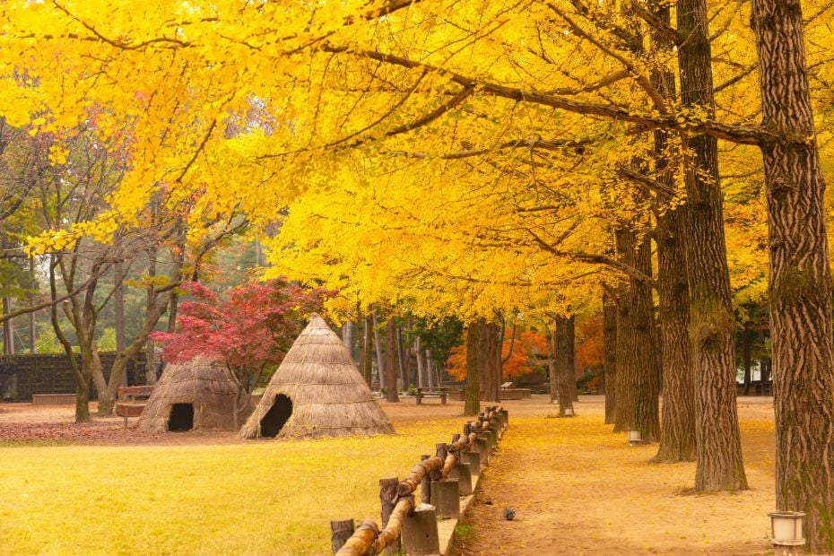 Visiting Korea In October 2023 Foliage Festivals Events