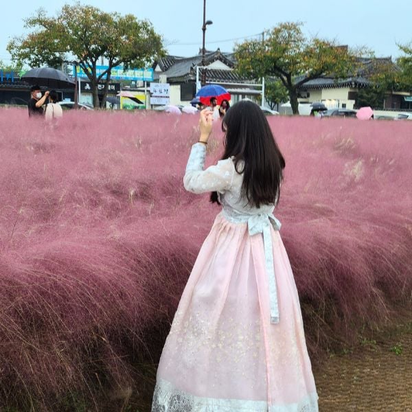 Woman in front of pink muhly