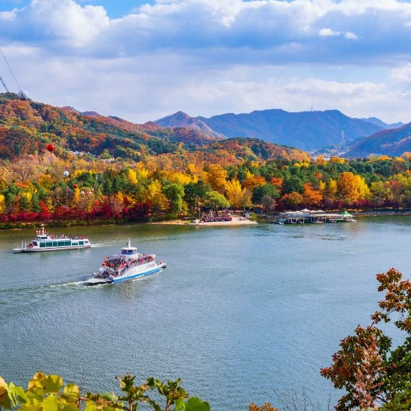 Nami Island In Autumn