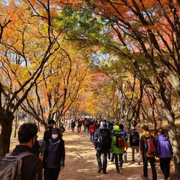 People trekking and hiking in Korea