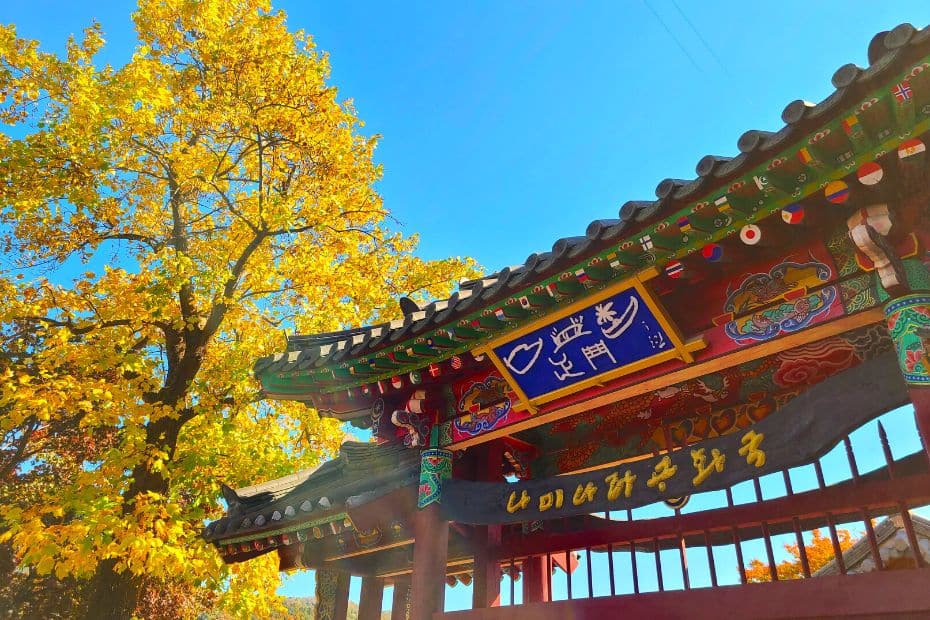 Go From Seoul To Nami Island For Autumn Foliage