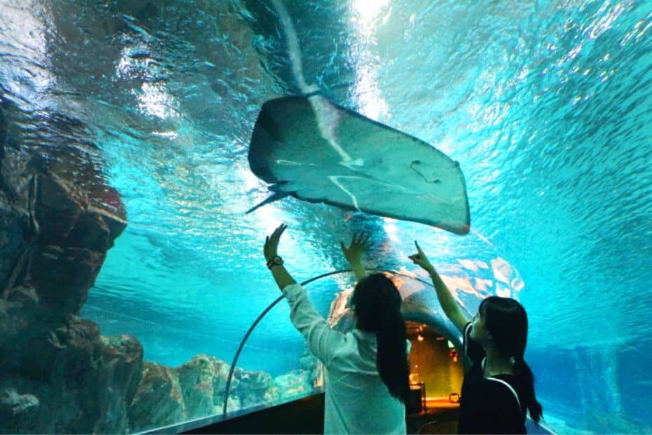 Klook Pass Seoul COEX Aquarium