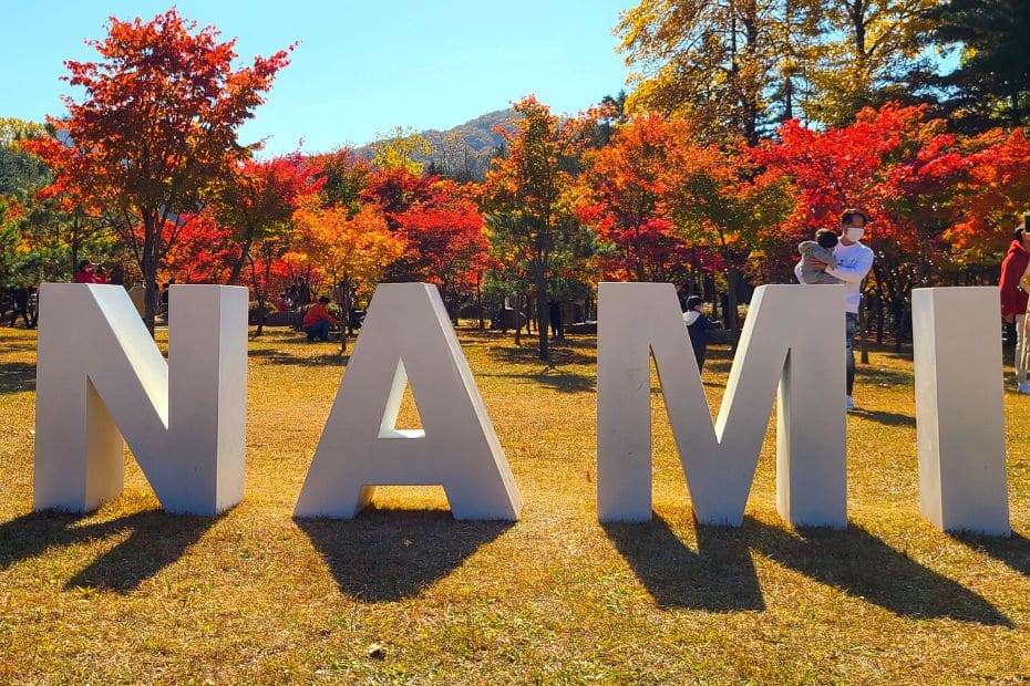 Seoul To Nami Island: By Car, Train, Bus, & Tour