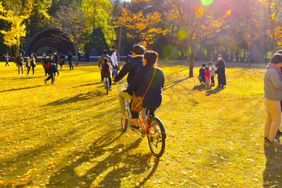 People riding a bike on Nami Island