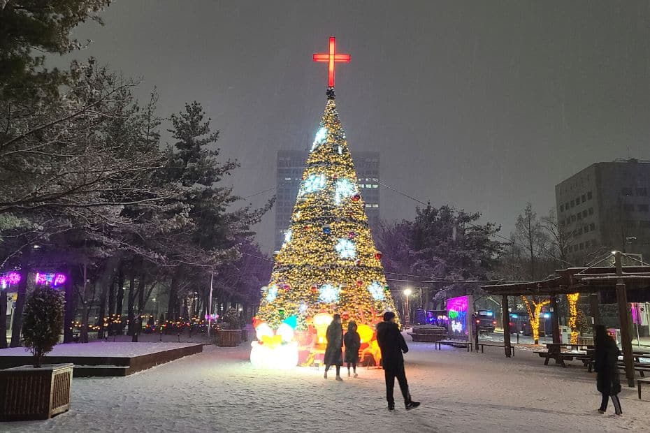 Christmas Tree In Snow In Korea