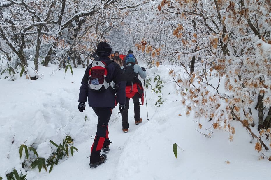 People hiking through snow in Korean winter