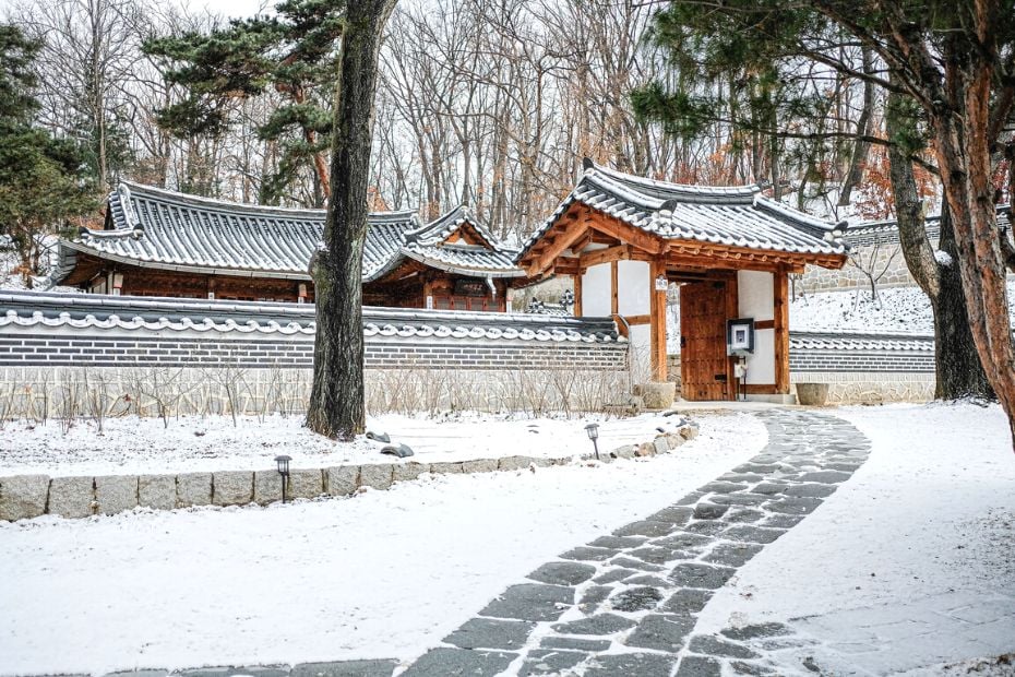 Snow scene during winter in Korea