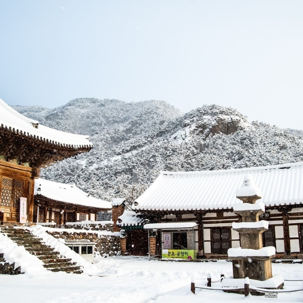 Korean buddhist temple covered in snow