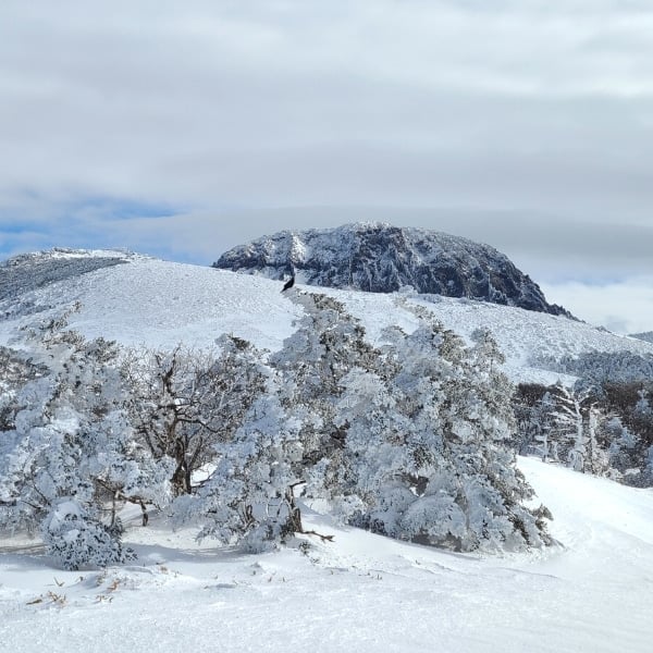 A Guide To Winter In Korea 2025: 20+ Best Winter Activities 19 Hallasan Mountain On Jeju Island Korea