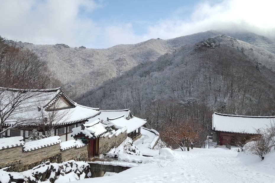 A Guide To Winter In Korea 2025: 20+ Best Winter Activities 18 Winter hiking in Korea at Deogyusan Mountain