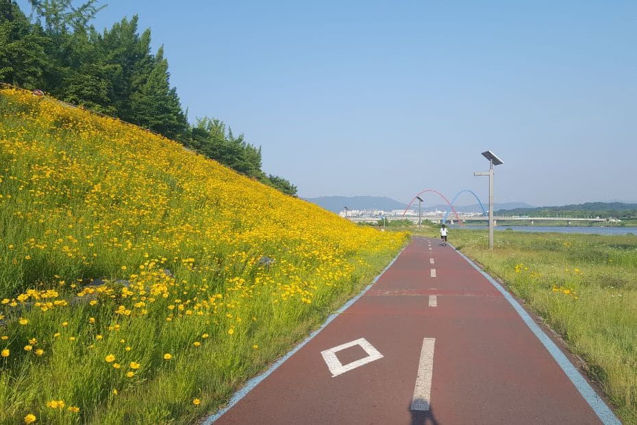 Bike path in Daejeon Korea
