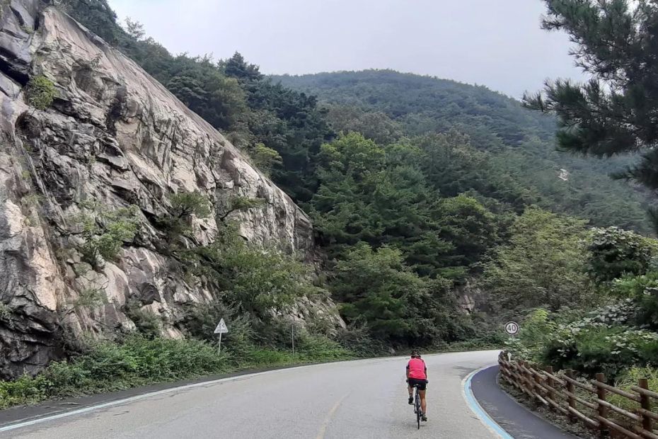 Bicycle road store near me