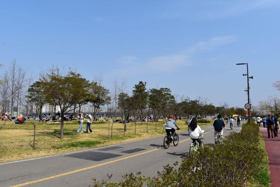 People cycling in Seoul