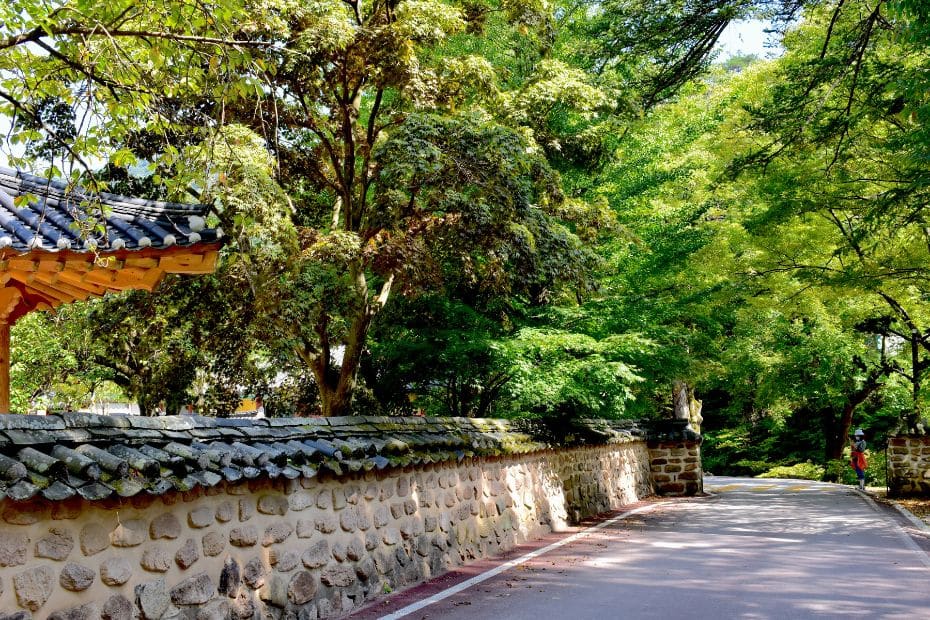 Road leading to Beopjusa Temple in Songnisan National Park