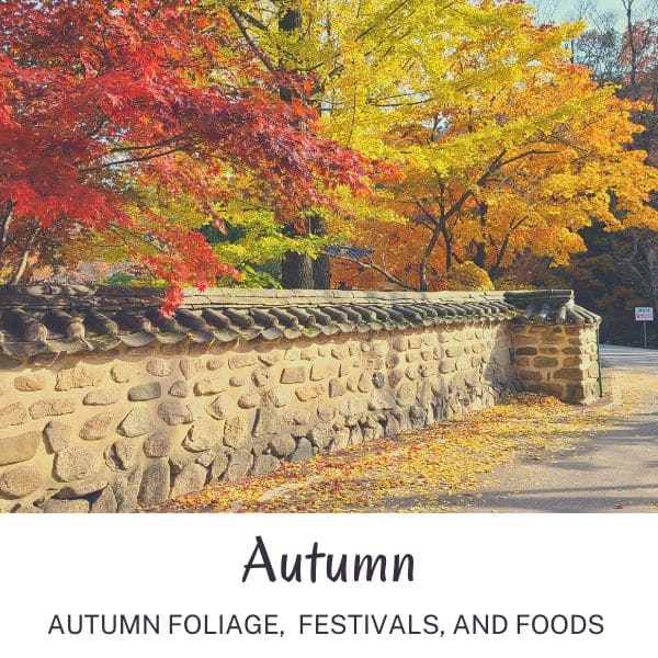 Autumn foliage at Korean temple autumn in Korea