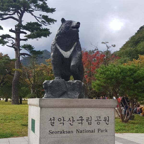 Bear statue at Seoraksan National Park Korea