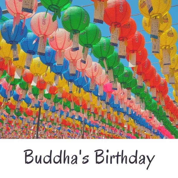 Buddhist lanterns for Buddha's Birthday In Korea