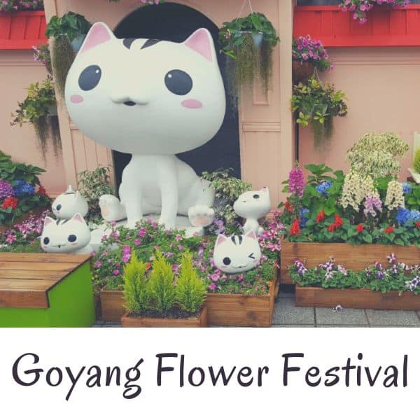 Cat statues at Goyang Flower Festival