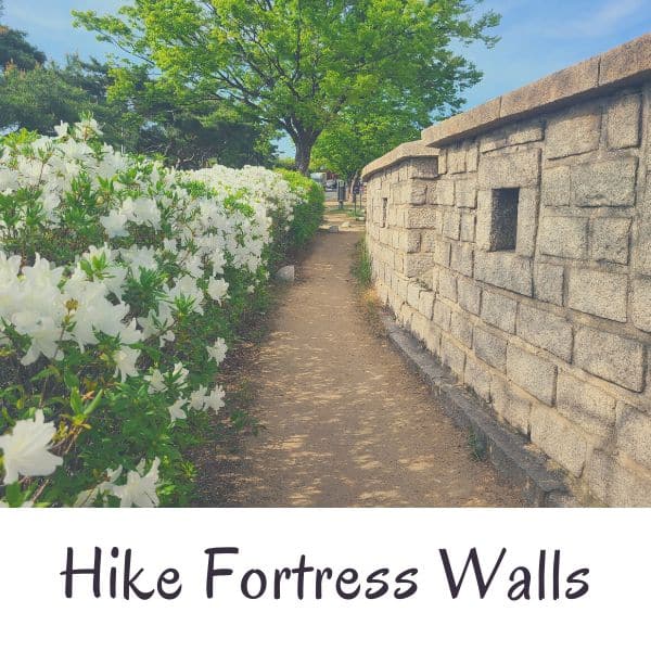 Korean fortress walls with white plants