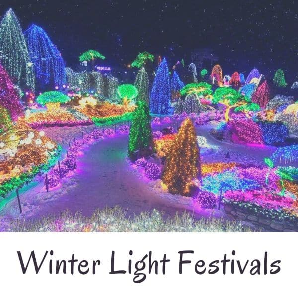 Light Festival In Korea