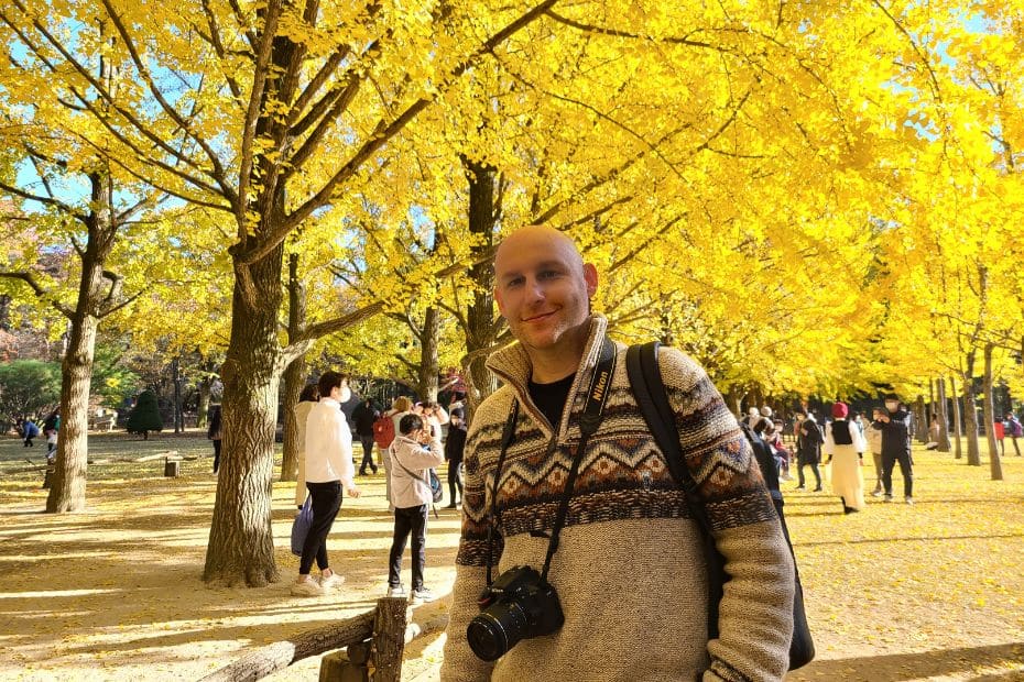 Man with ginkgo trees at Nami Island