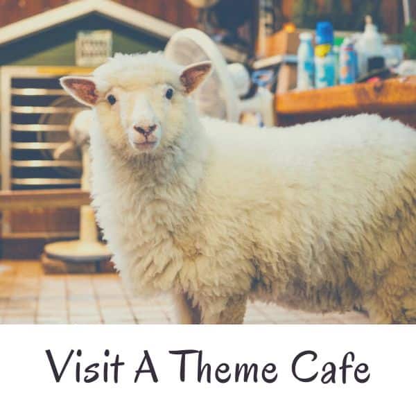 Sheep Cafe in Seoul Korea