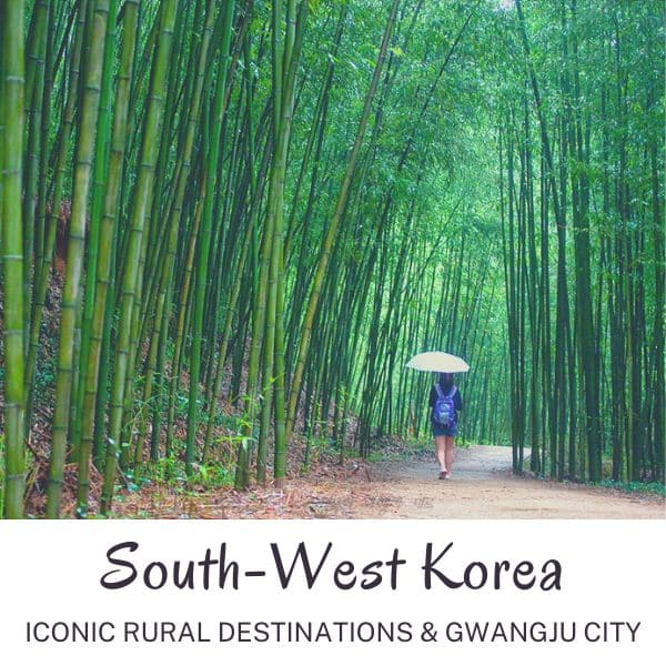 South West Korea Iconic rural destinations bamboo forest