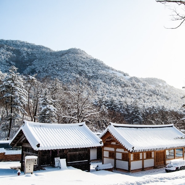 Winter In Korea Snowy Temples