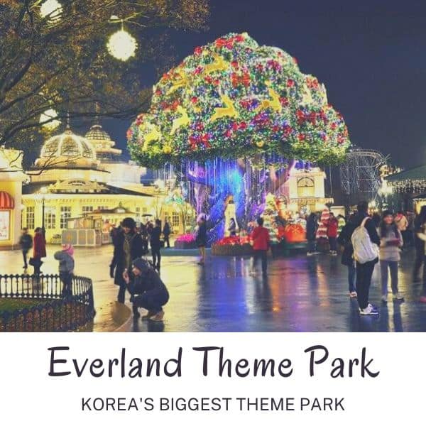 Everland Theme Park in Korea