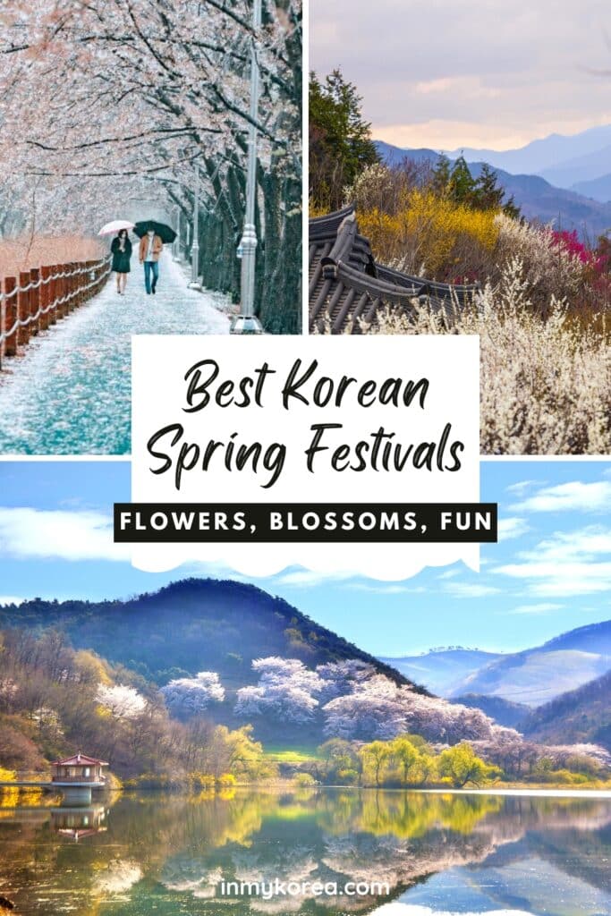 Best Korean Spring Festivals To Visit Pin 2