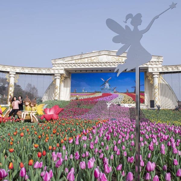 The Everland Tulip Festival in Korea