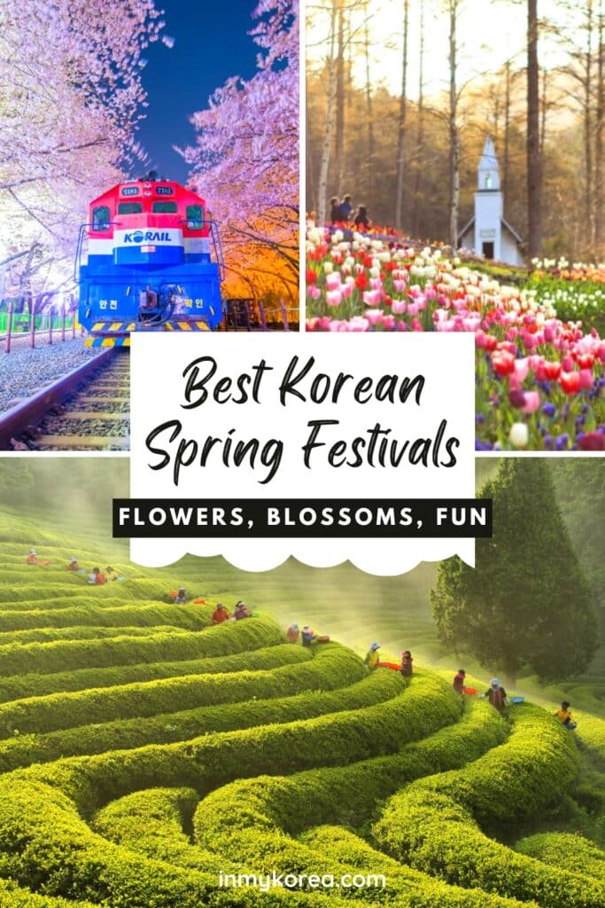 Best Korean Spring Festivals 2025: Nature, Culture, Blossoms 46 Best Korean Spring Festivals To Visit Pin 1